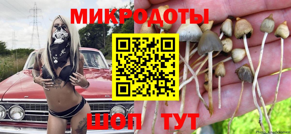 Псилоцибиновые грибы ЛСД  Вход с VPN  Тавда 